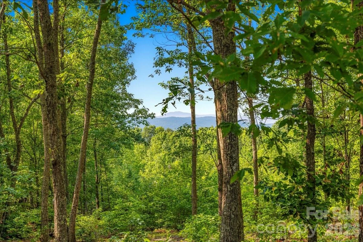 207 Mossy Oak Trail #166 - Photo 8