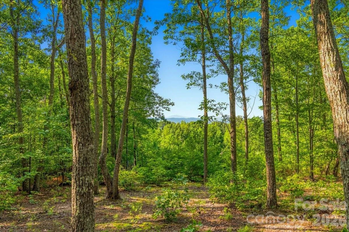 207 Mossy Oak Trail #166 - Photo 9