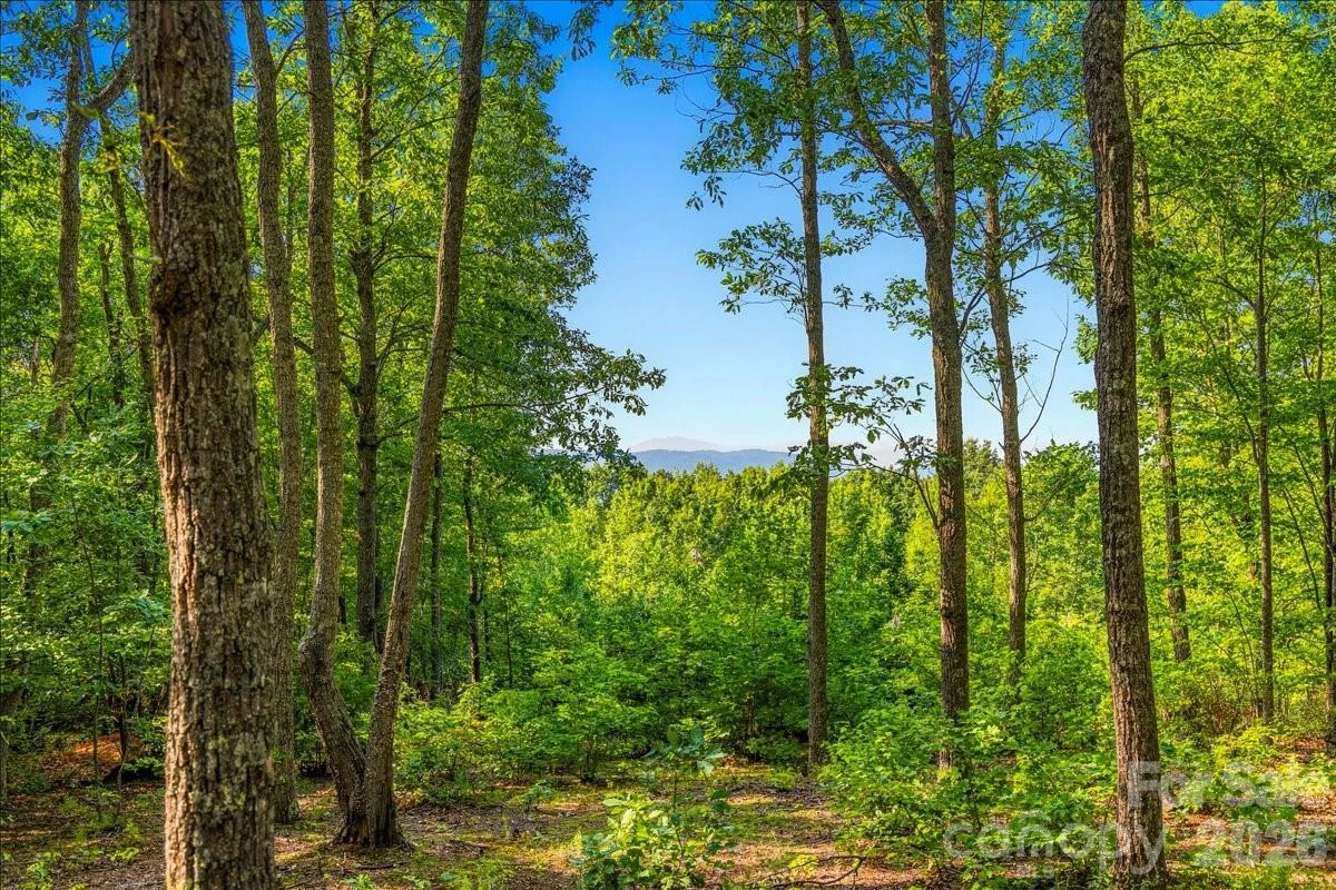 207 Mossy Oak Trail #166 - Photo 10