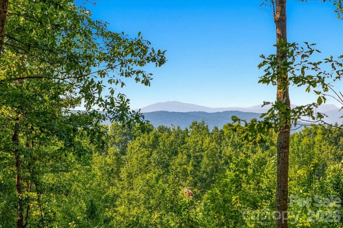 207 Mossy Oak Trail #166 - Photo 11