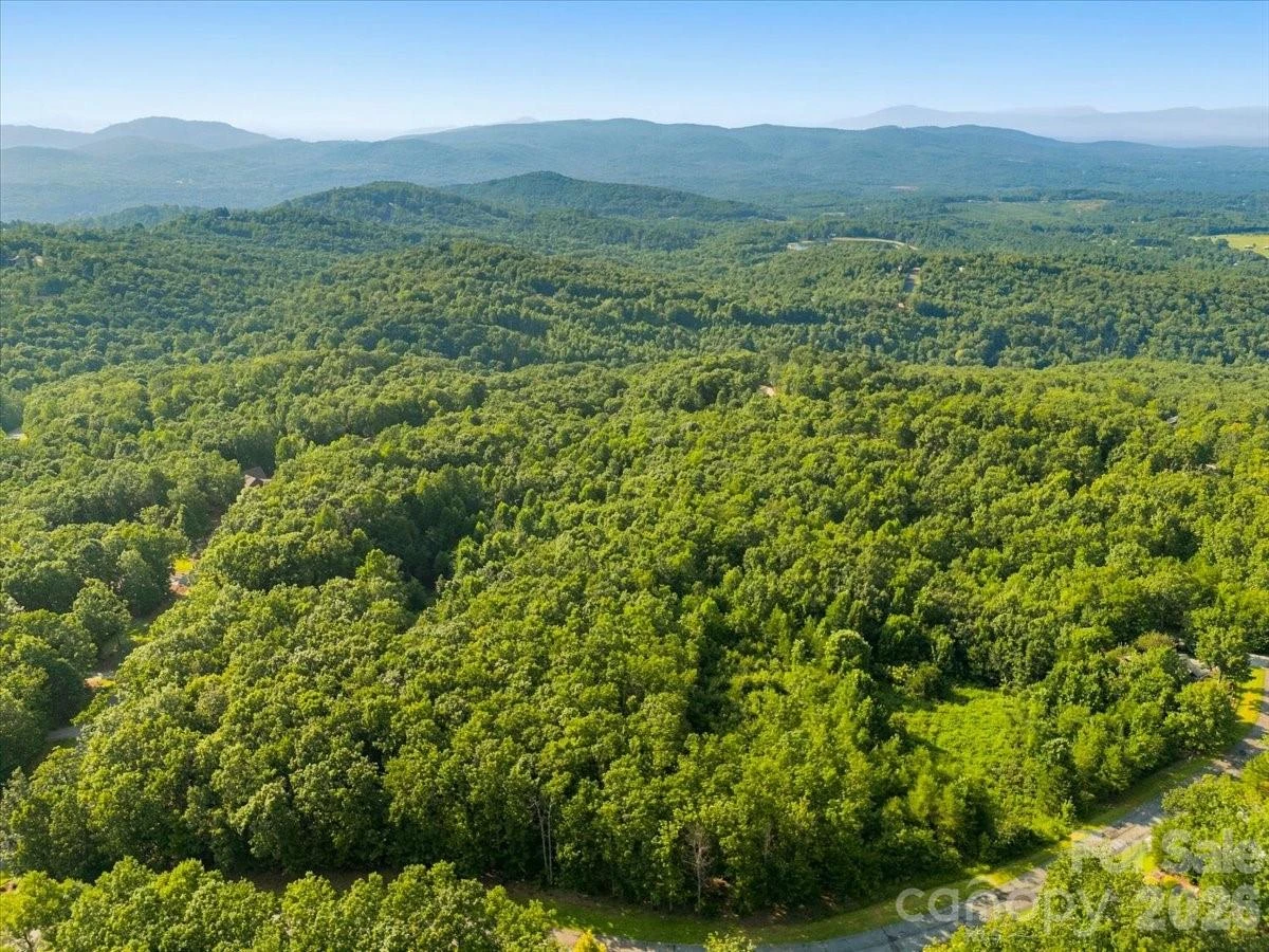 207 Mossy Oak Trail #166 - Photo 13