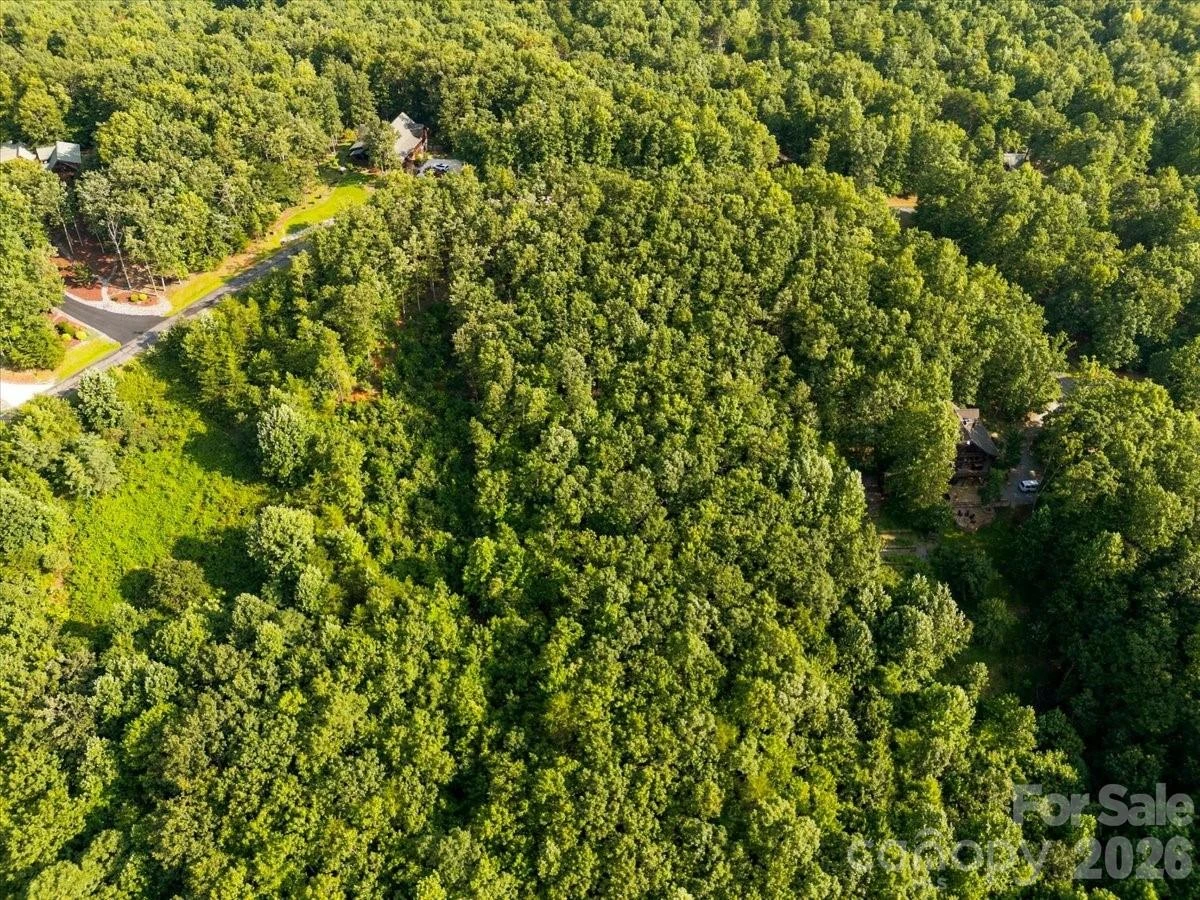 207 Mossy Oak Trail #166 - Photo 16