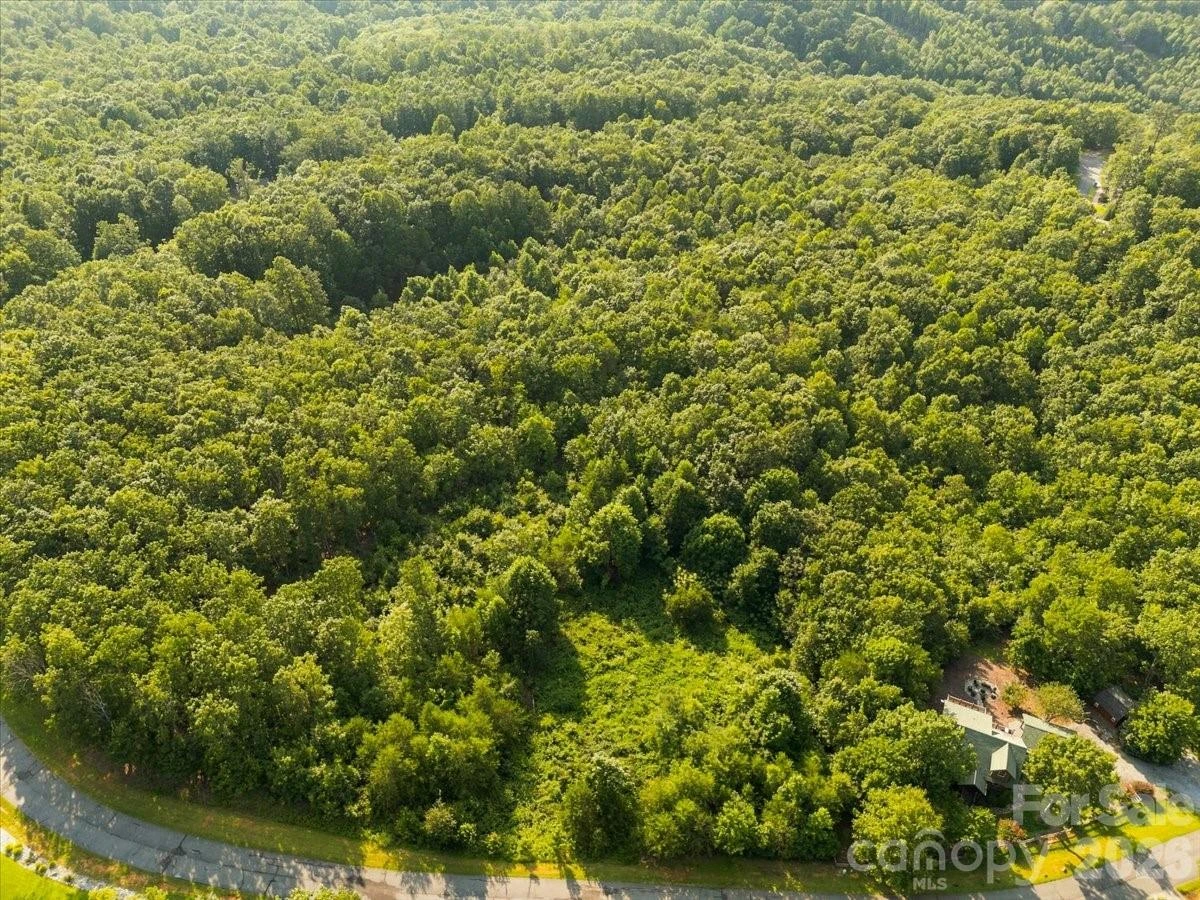207 Mossy Oak Trail #166 - Photo 17