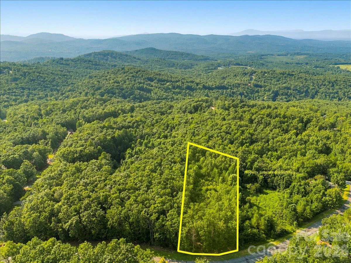207 Mossy Oak Trail #166 - Photo 19
