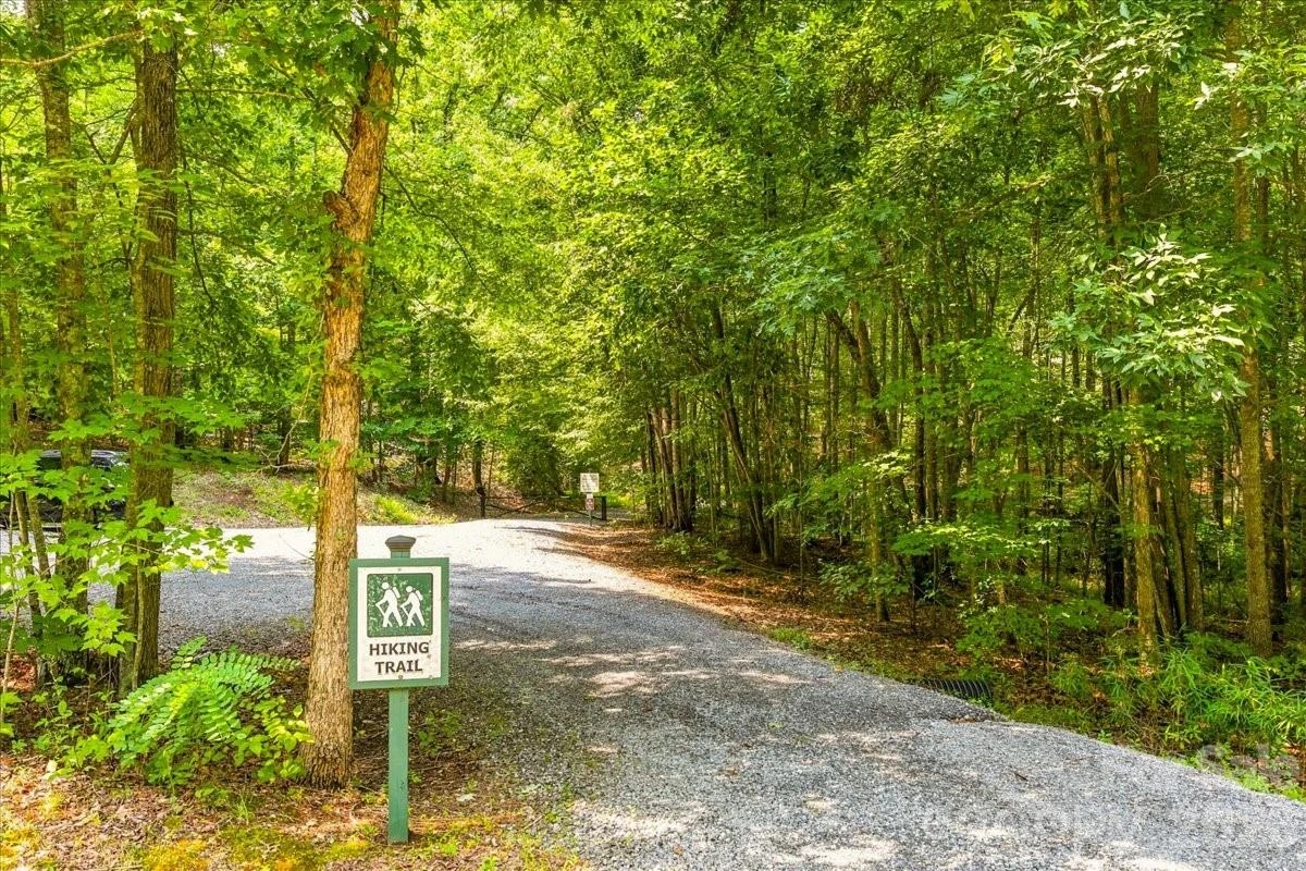207 Mossy Oak Trail #166 - Photo 45