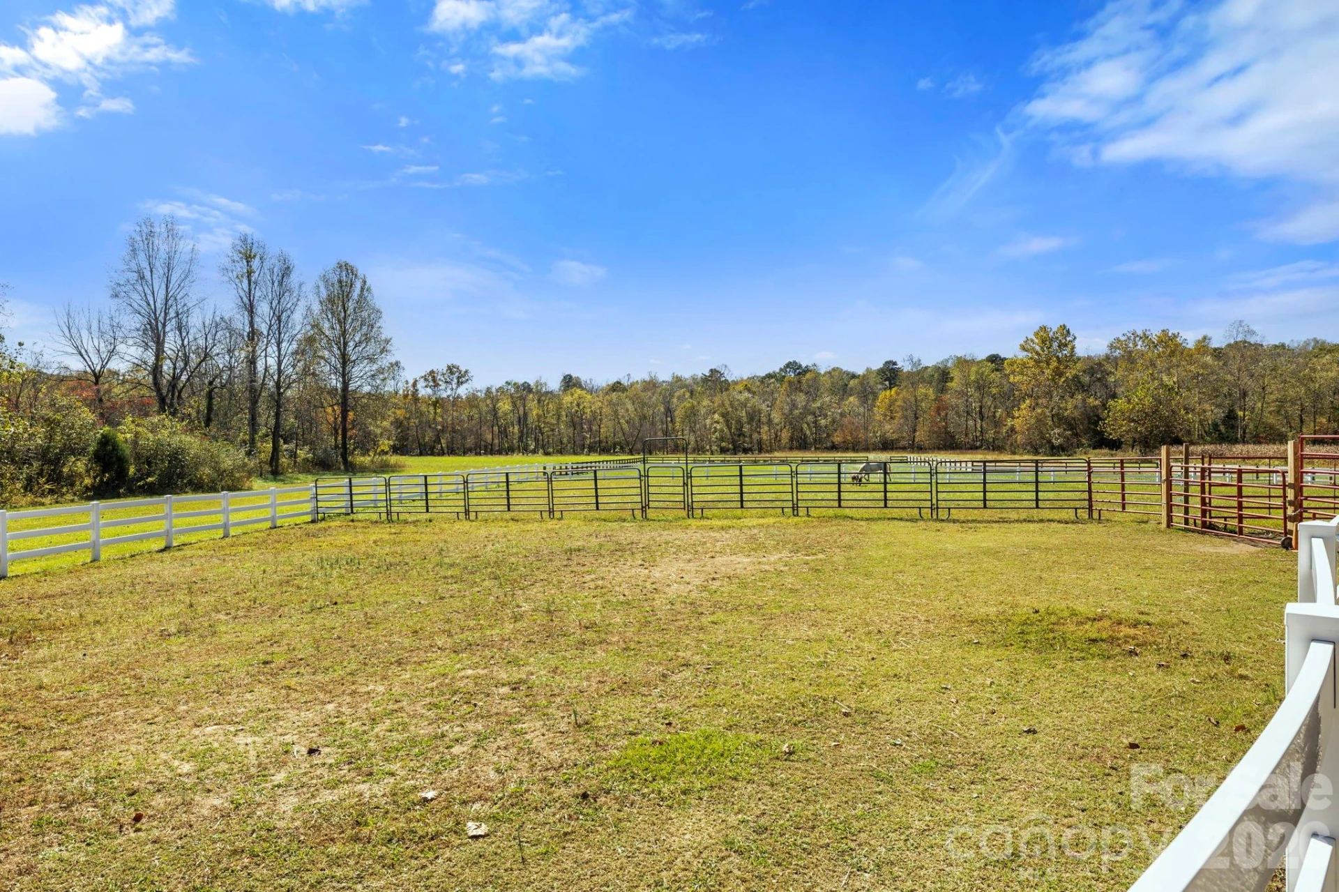 225 Burnt Meadow Lane #169 - Photo 33