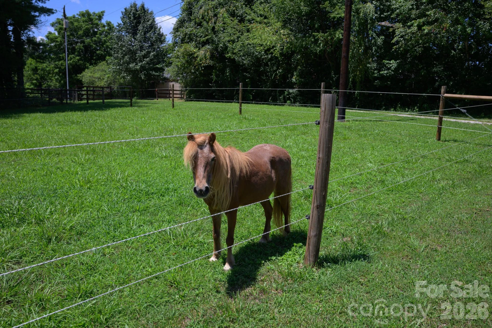 1151 Shady Lane - Photo 17