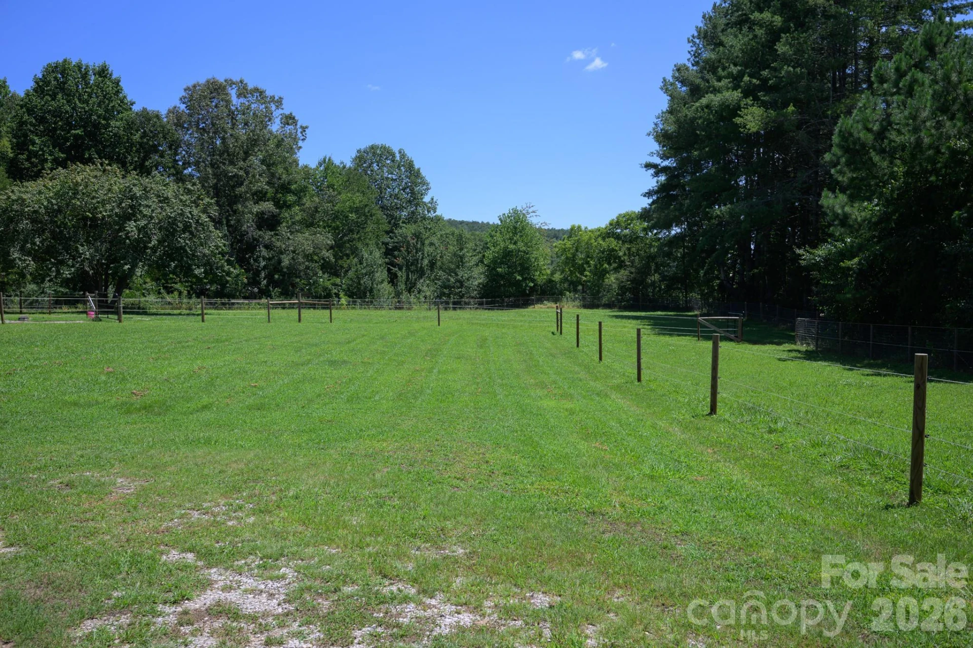 1151 Shady Lane - Photo 18
