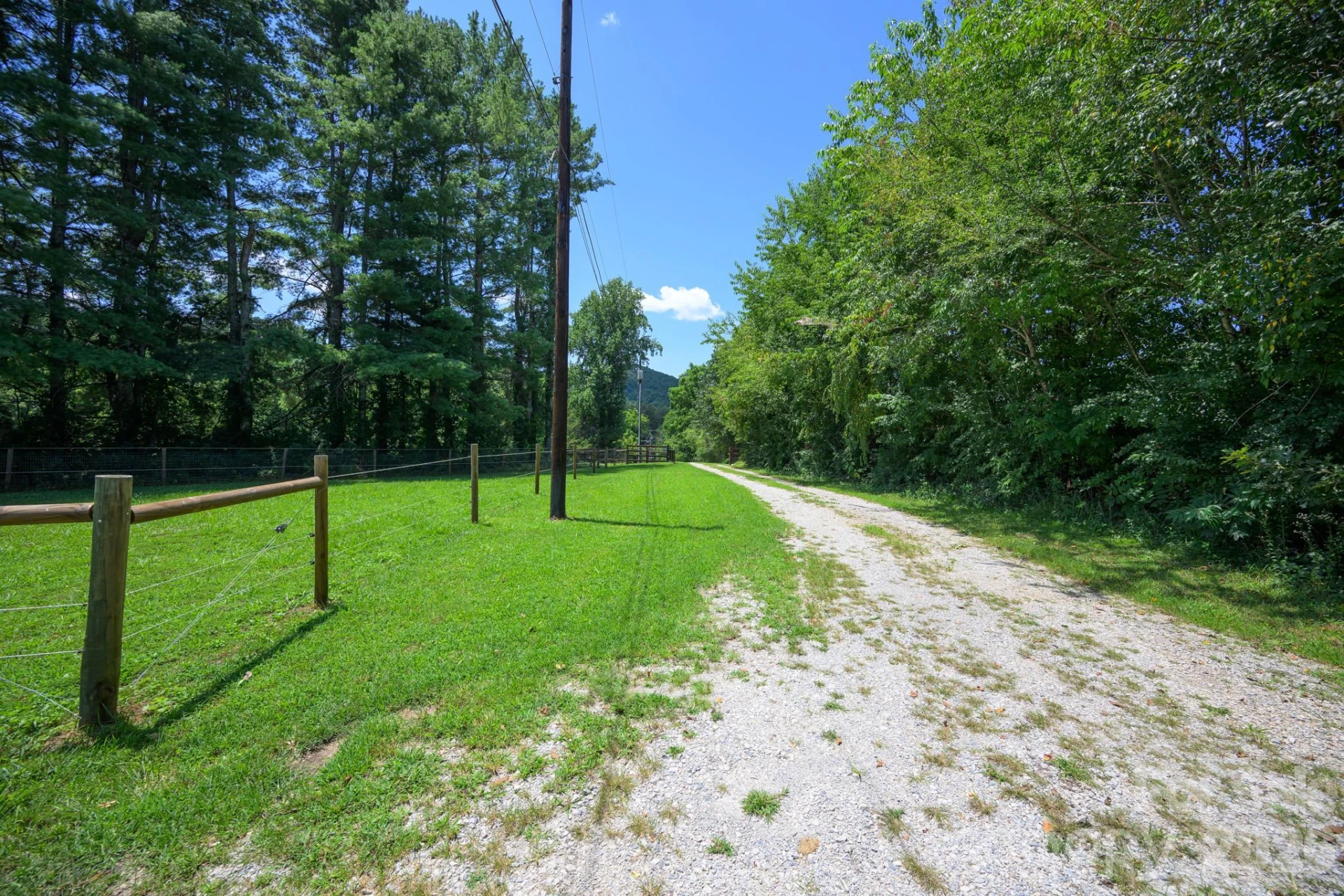 1151 Shady Lane - Photo 31