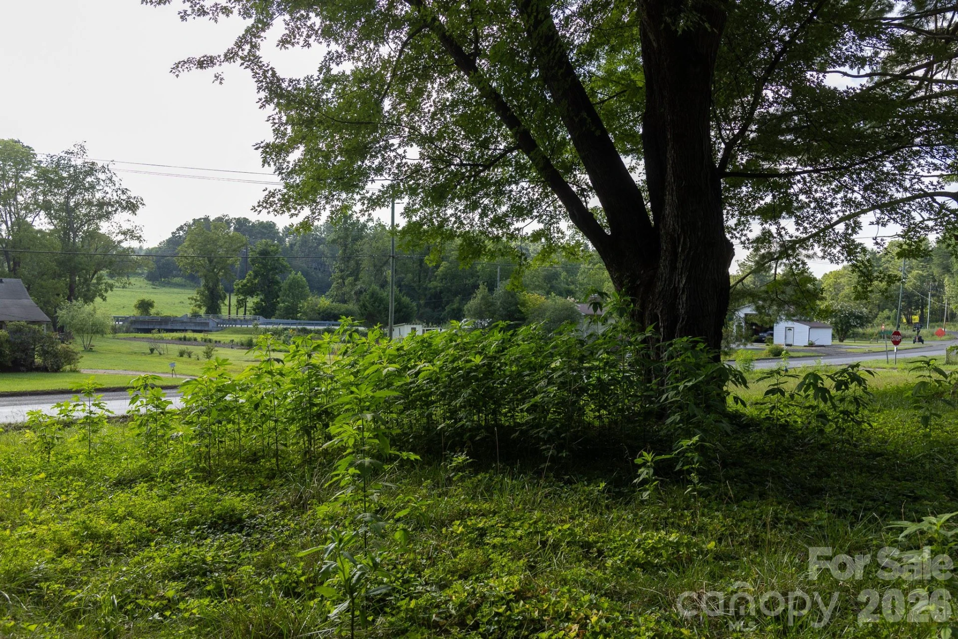 920 Mills Gap Road - Photo 4