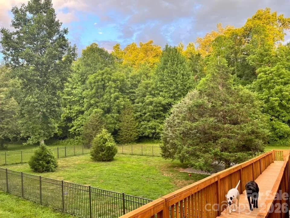 225 Burnt Meadow Lane #169 - Photo 43