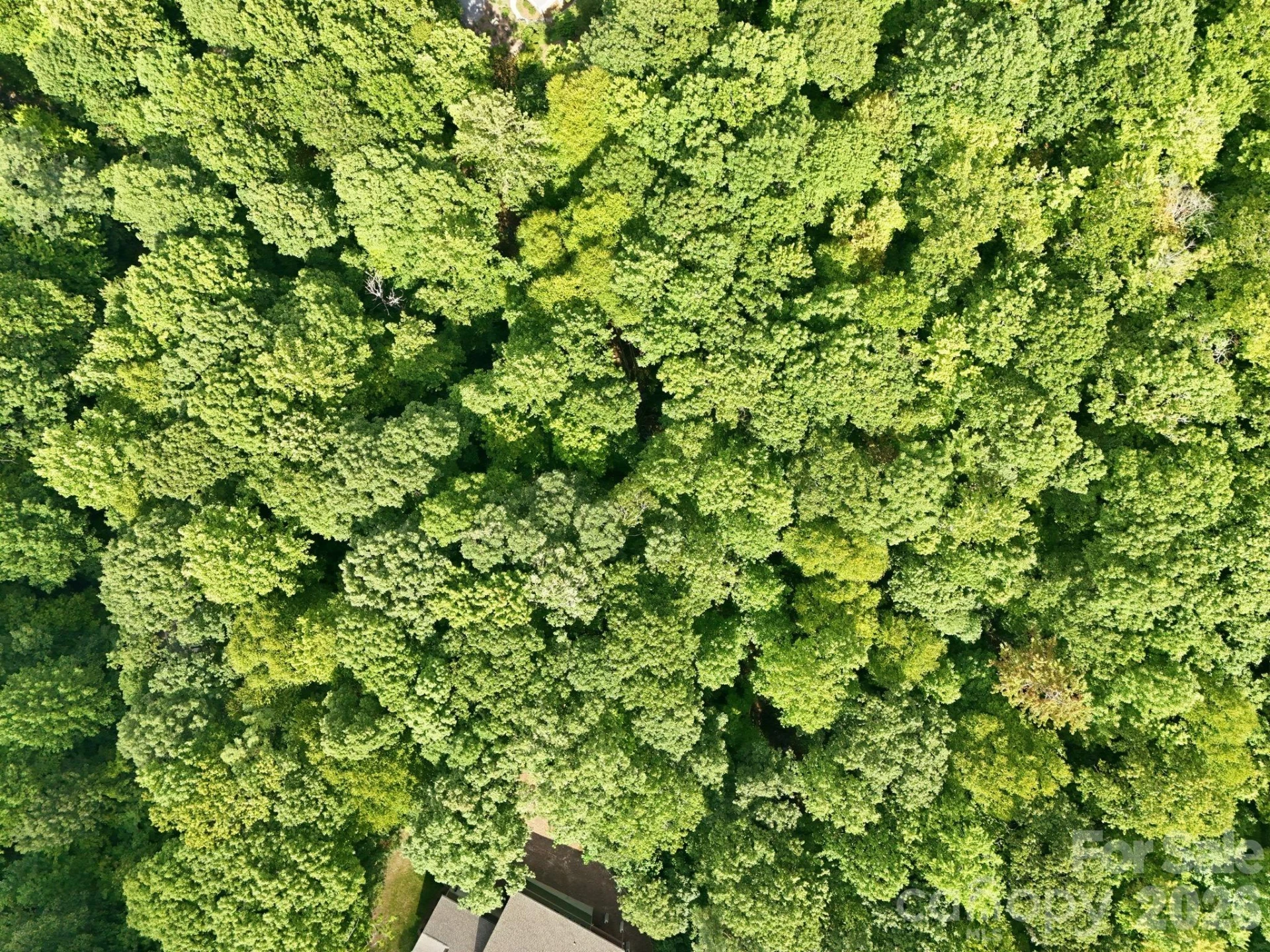 315 Kenmure Drive #74 - Photo 6