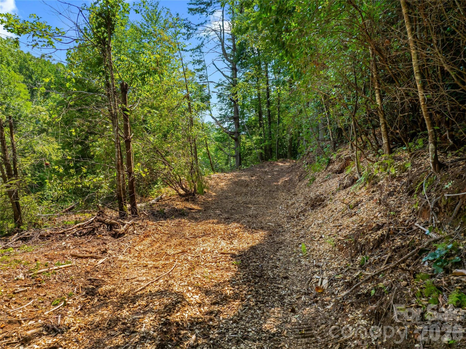 0 Frozen Creek Road - Photo 8