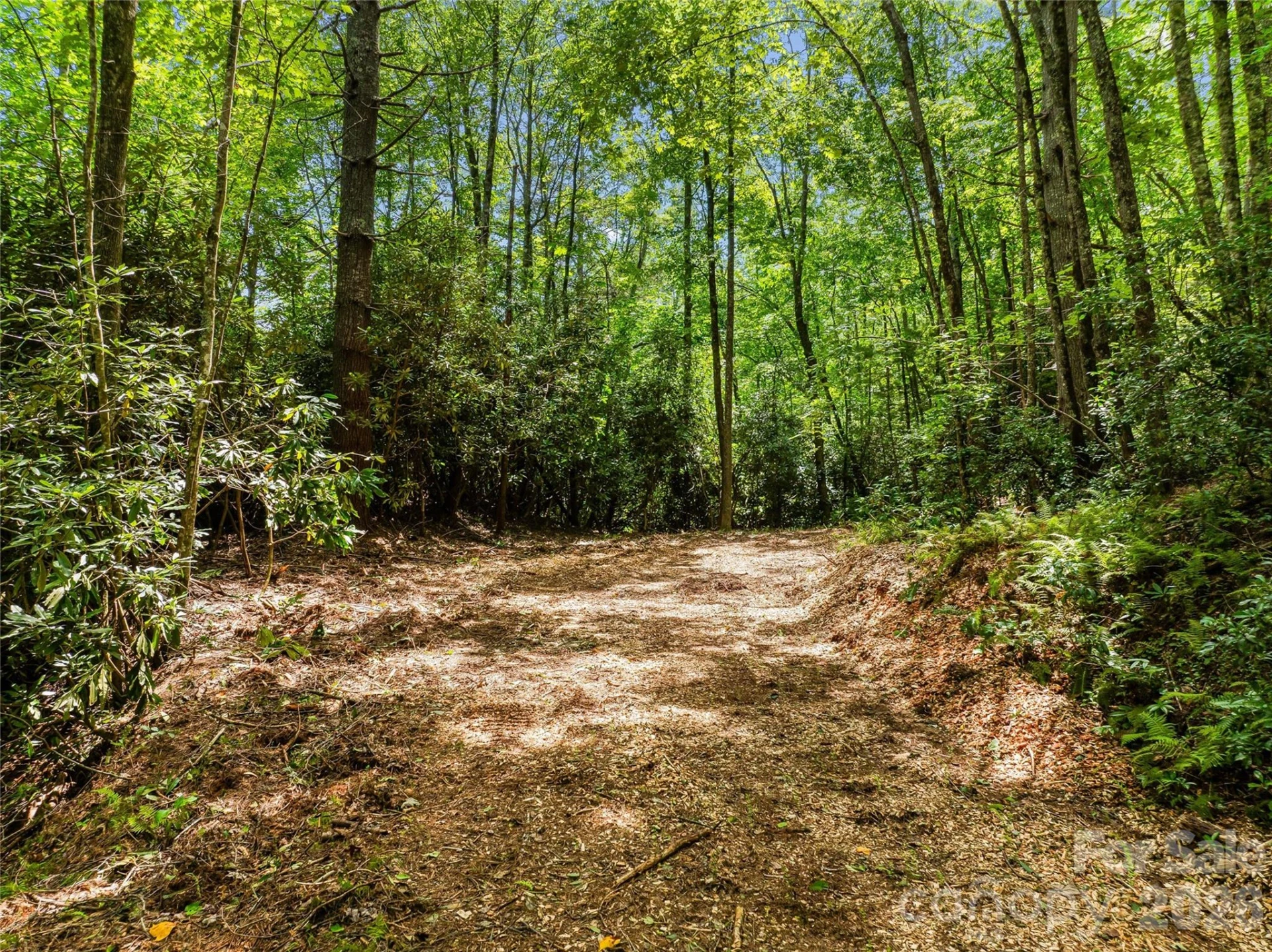0 Frozen Creek Road - Photo 9