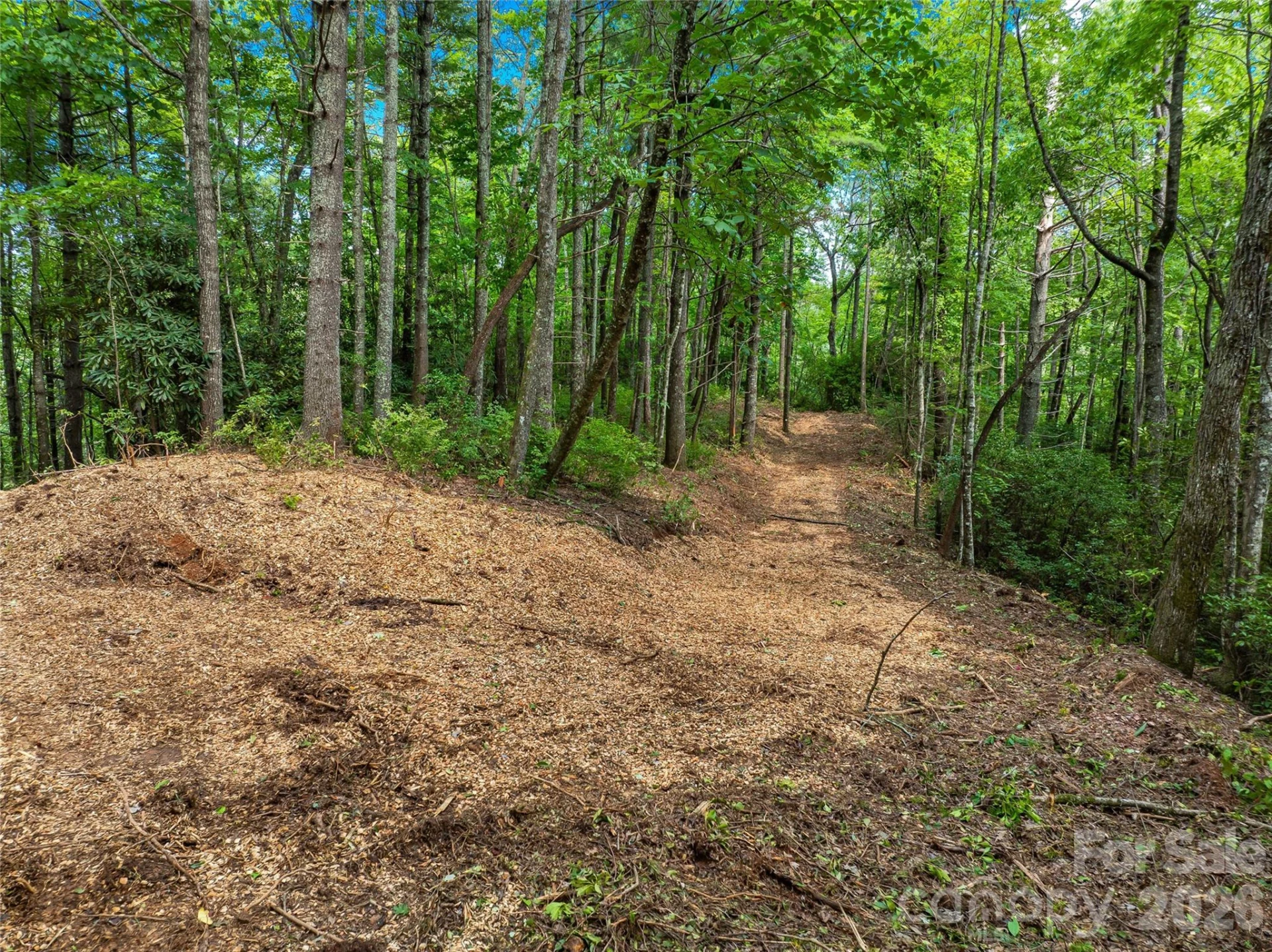 0 Frozen Creek Road - Photo 10