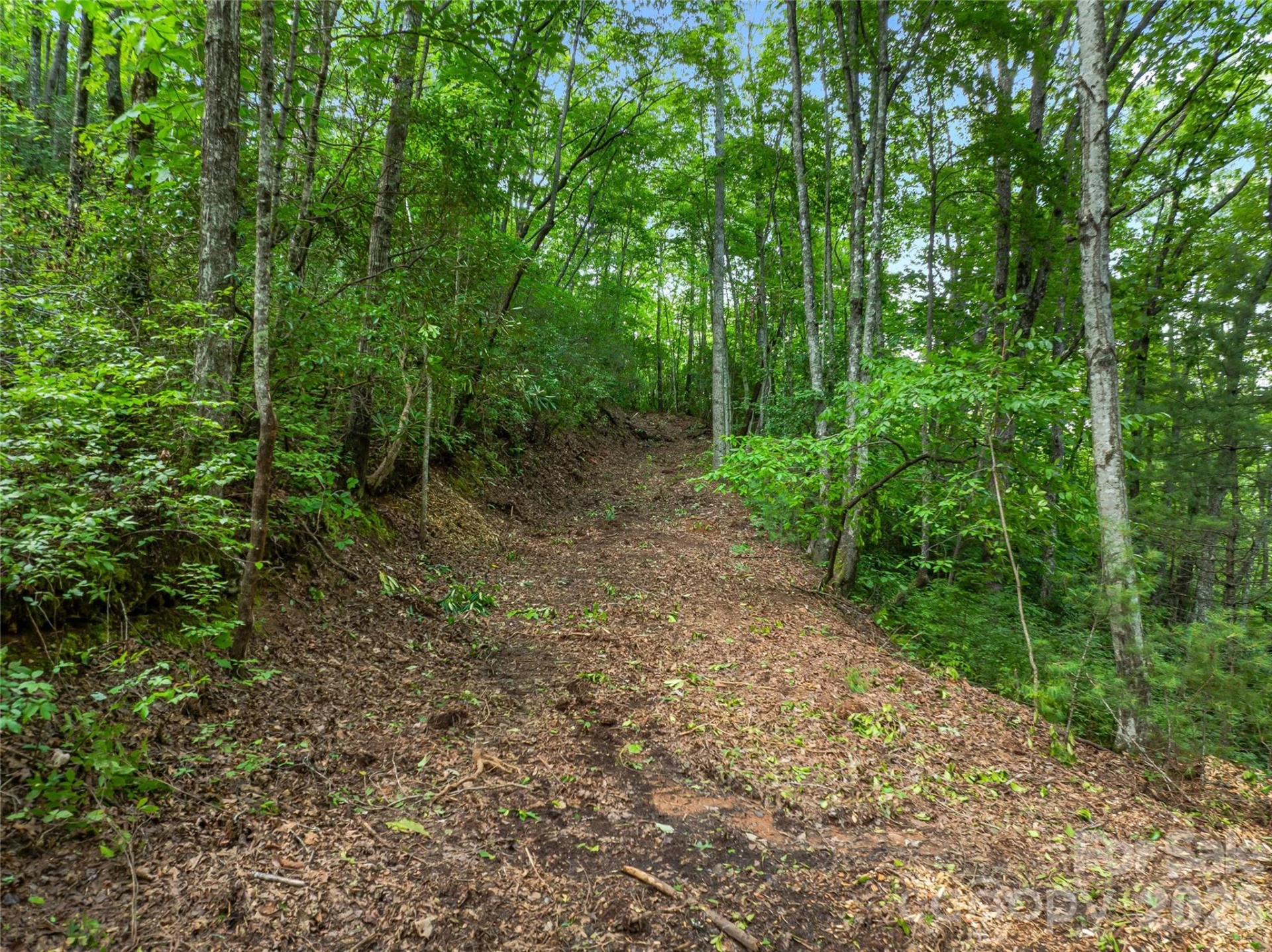 0 Frozen Creek Road - Photo 11