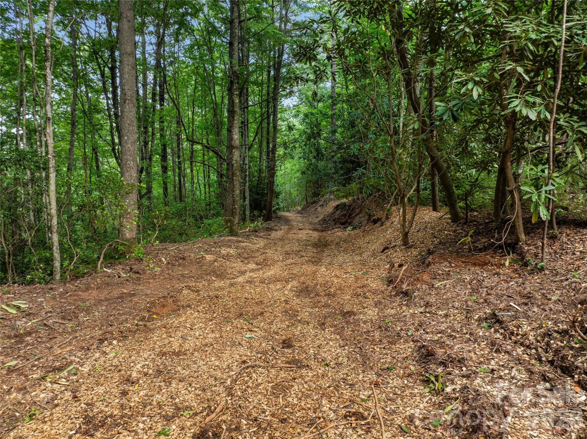 0 Frozen Creek Road - Photo 12