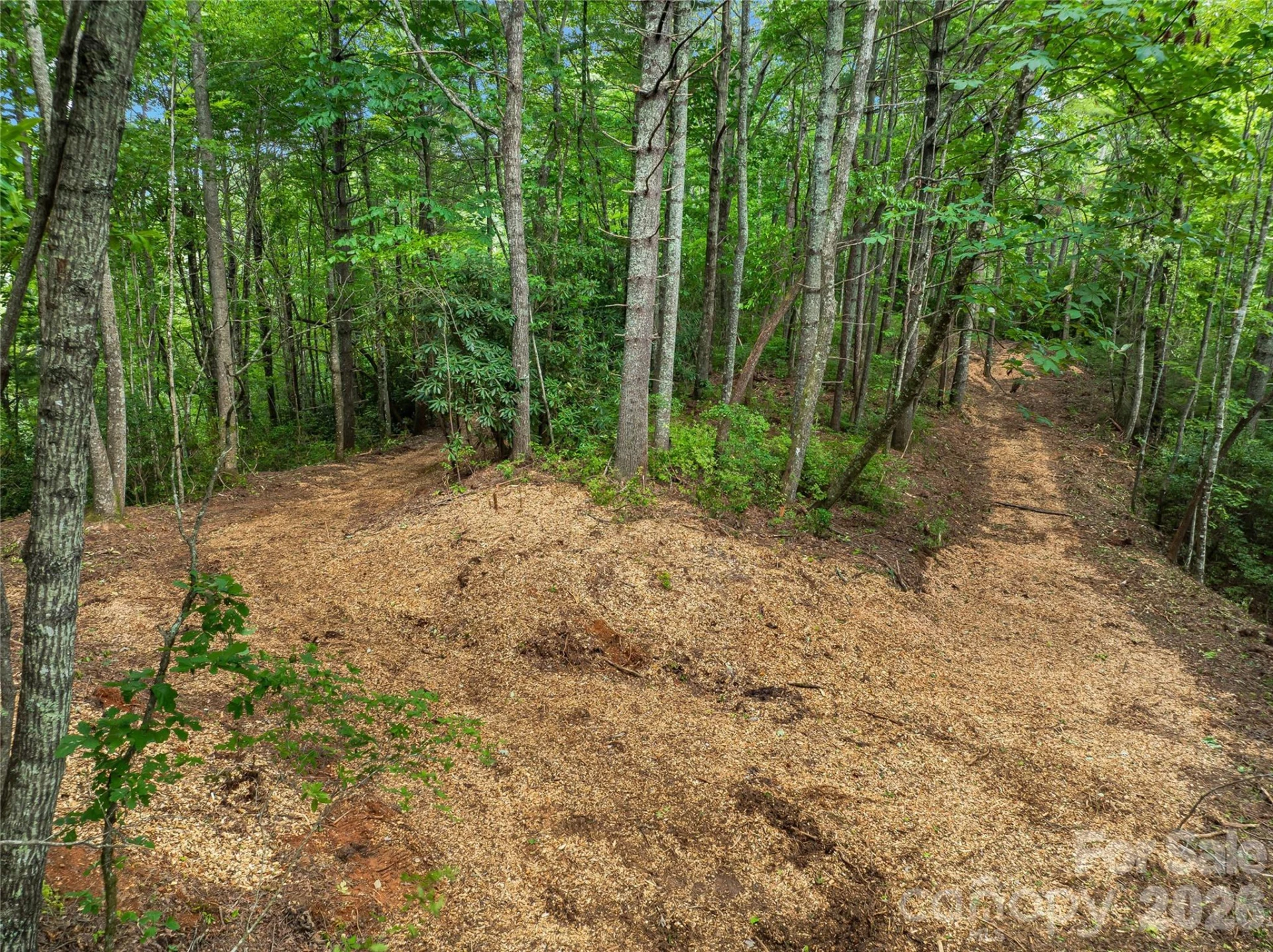 0 Frozen Creek Road - Photo 13