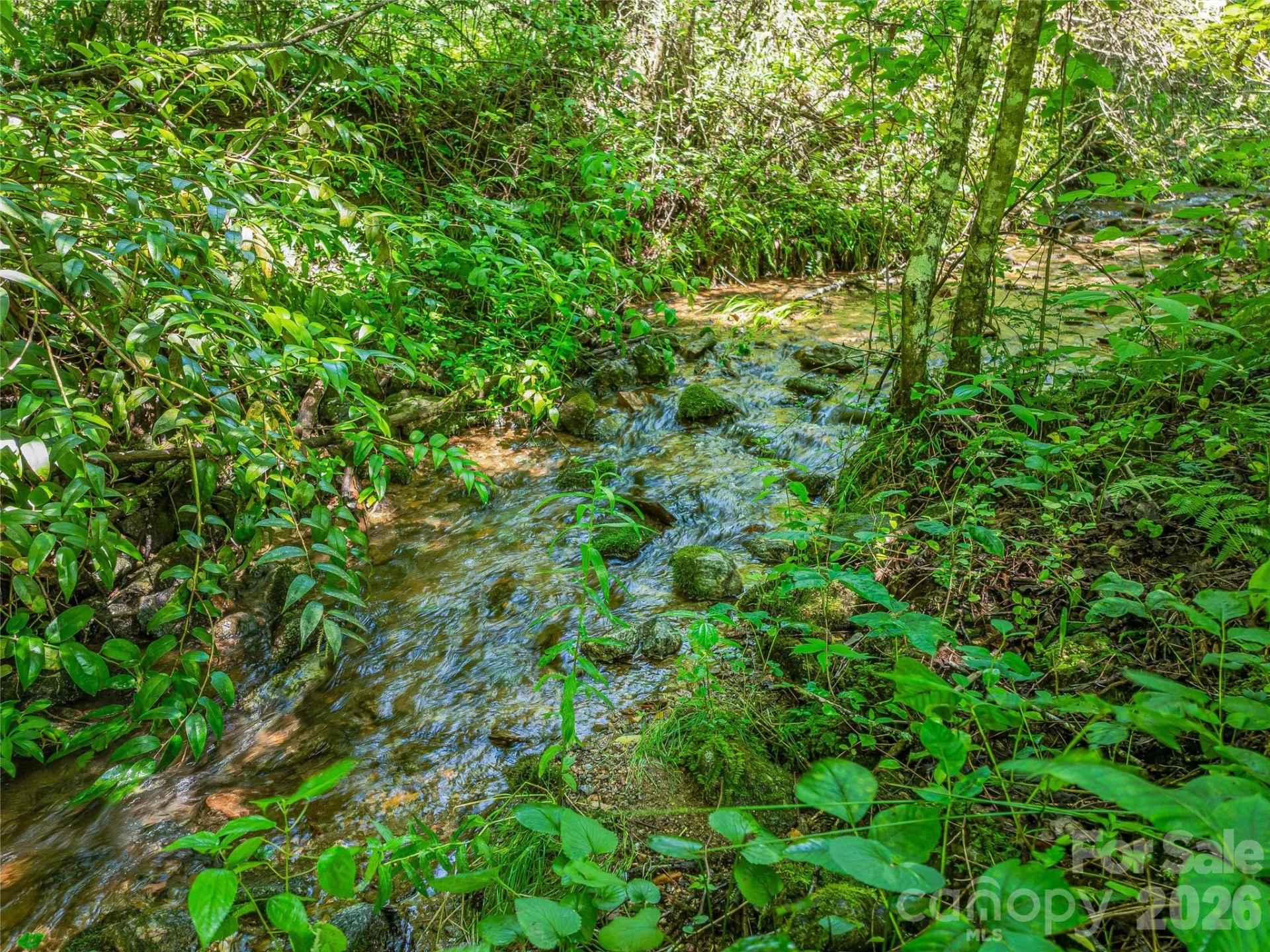 0 Frozen Creek Road - Photo 14