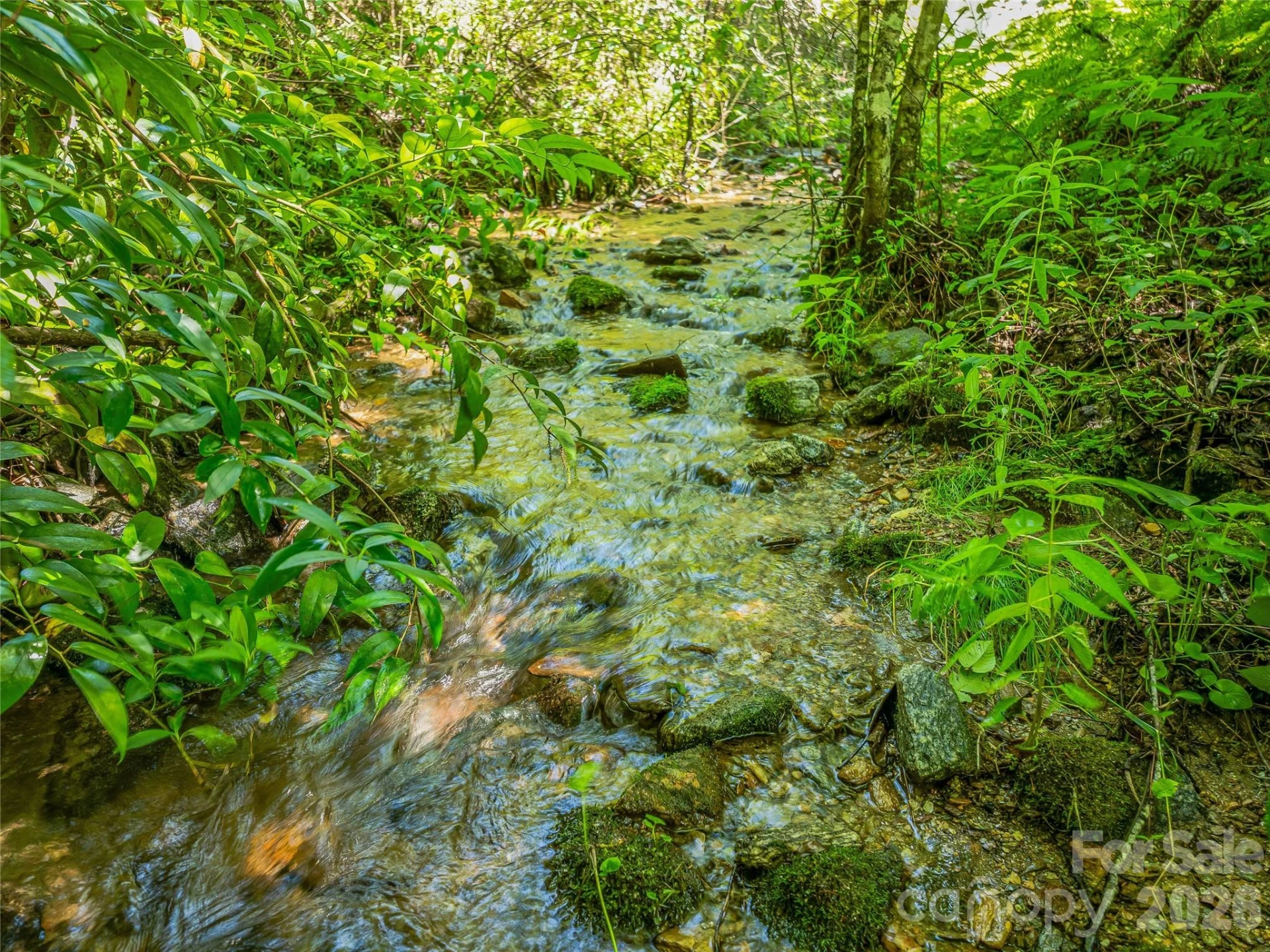 0 Frozen Creek Road - Photo 21