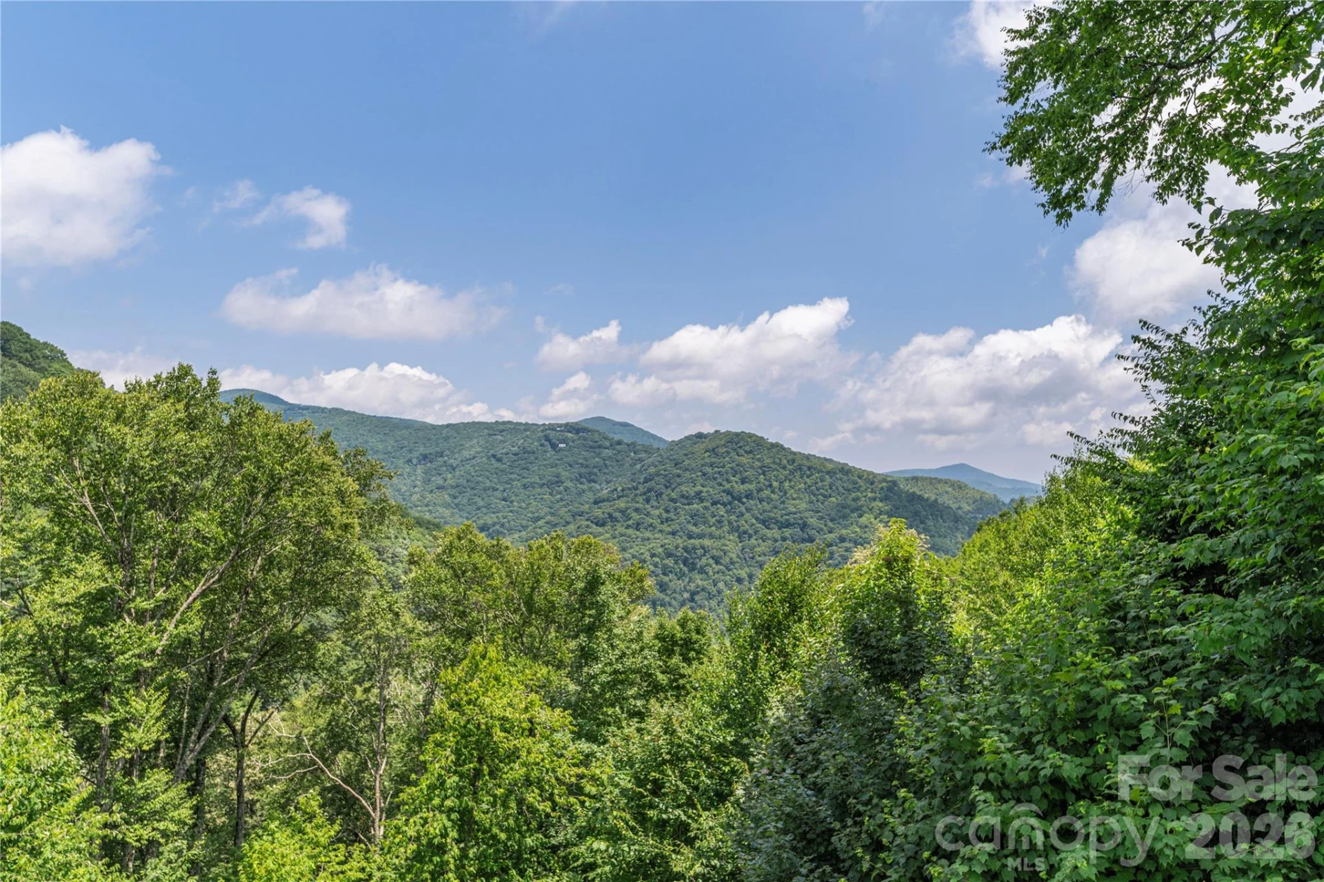92 Bobcat Road - Photo 19