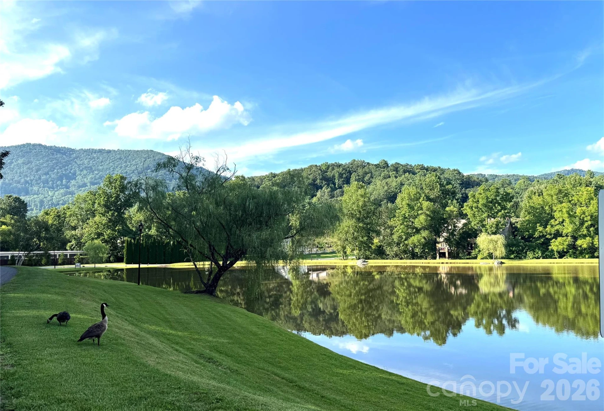 8 Lakeview Drive - Photo 11