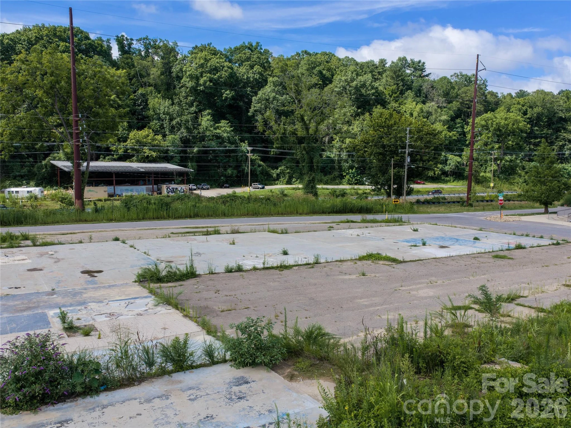 89 Thompson Street - Photo 8