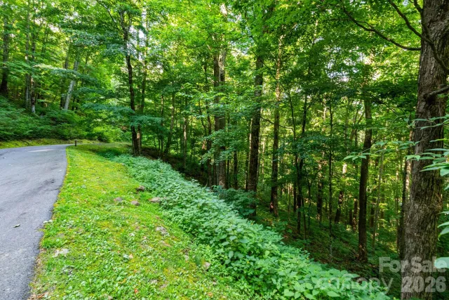 Lot 25 Finlaystone Trace