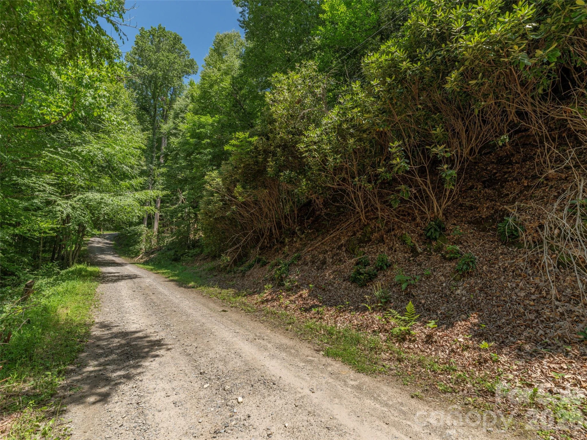 00 Rough Knob Road - Photo 3
