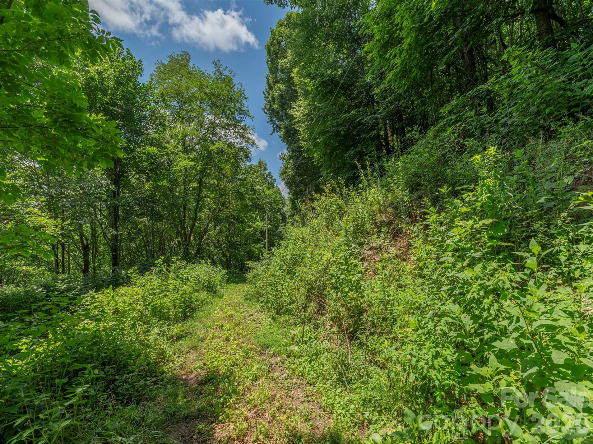 00000 Rough Knob Road - Photo 3