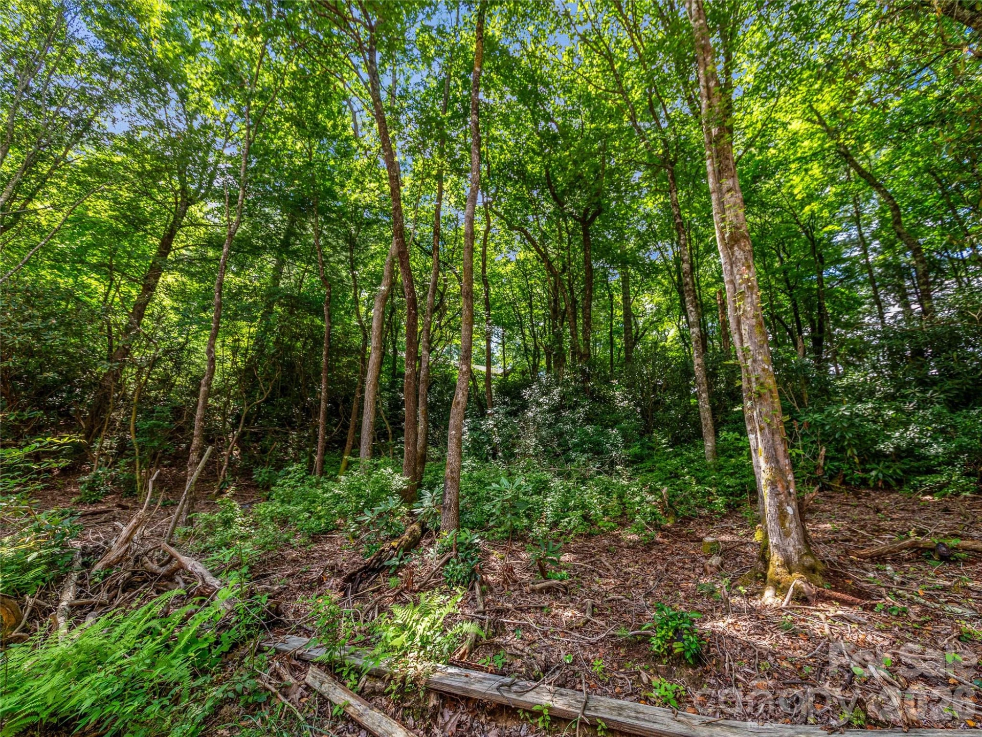 TBD Seminole Way #10 - Photo 12