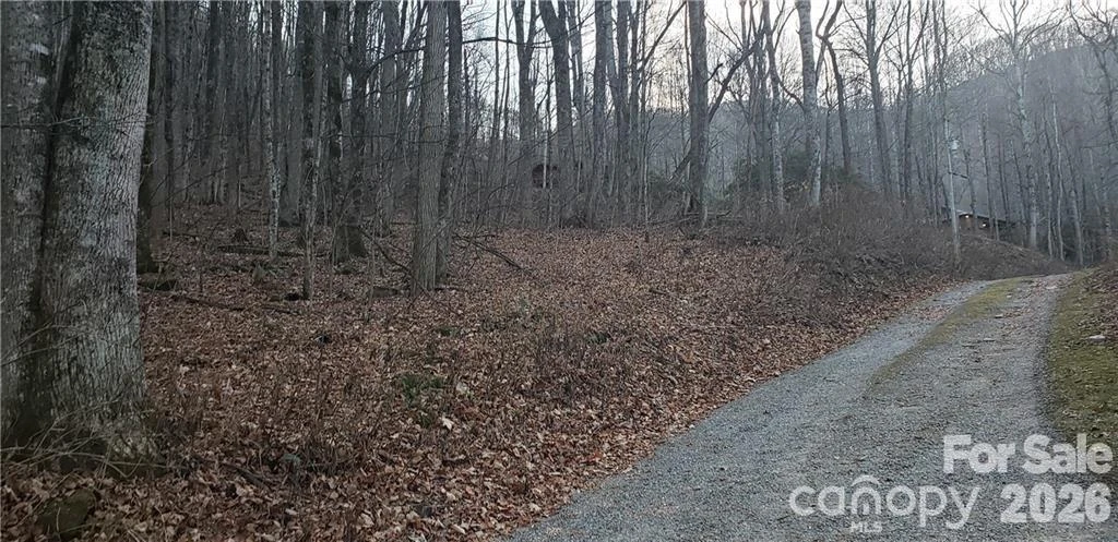 36 Miner Road - Photo 3