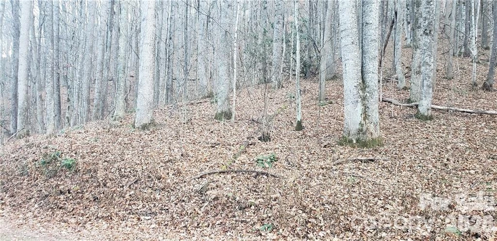 36 Miner Road - Photo 4