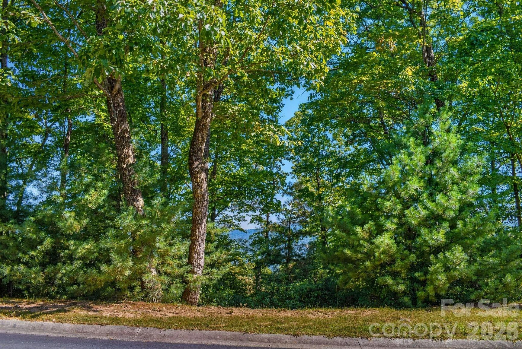 838 Mills River Way - Photo 2
