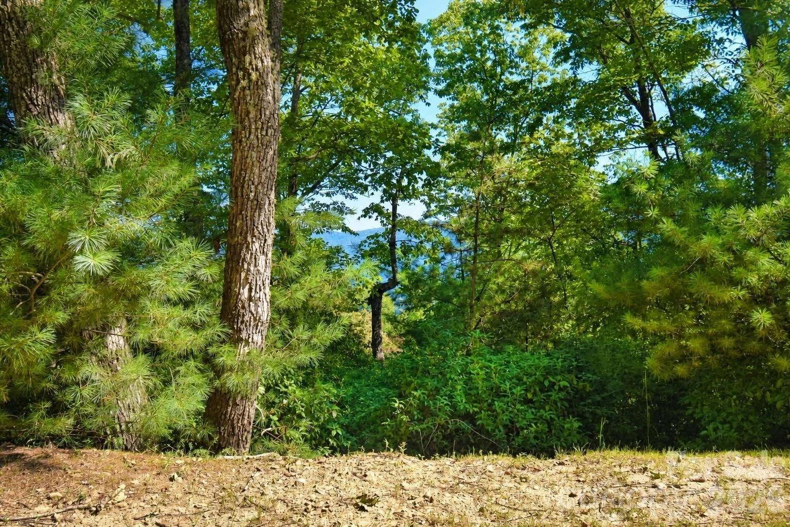 838 Mills River Way - Photo 3