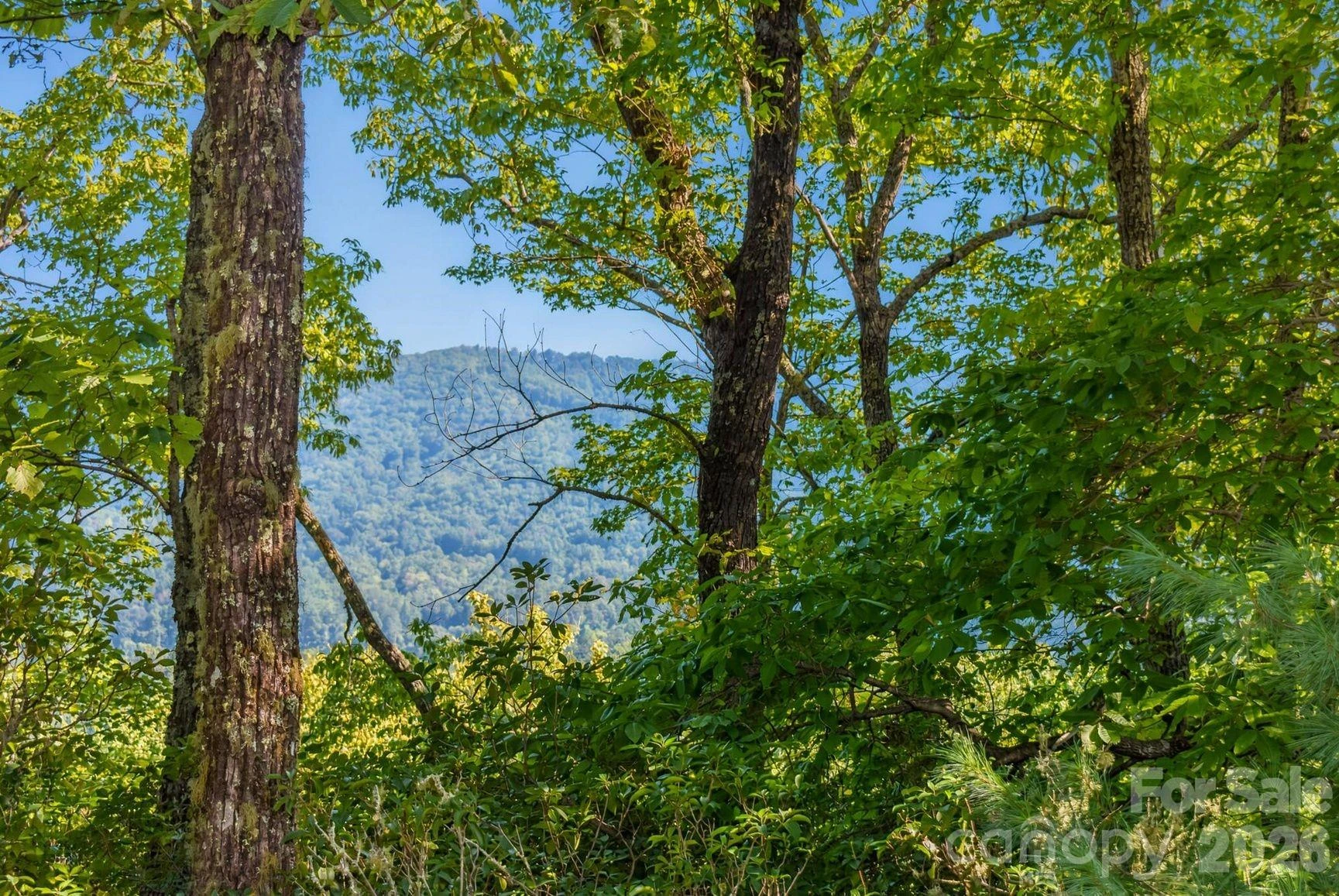 838 Mills River Way - Photo 7