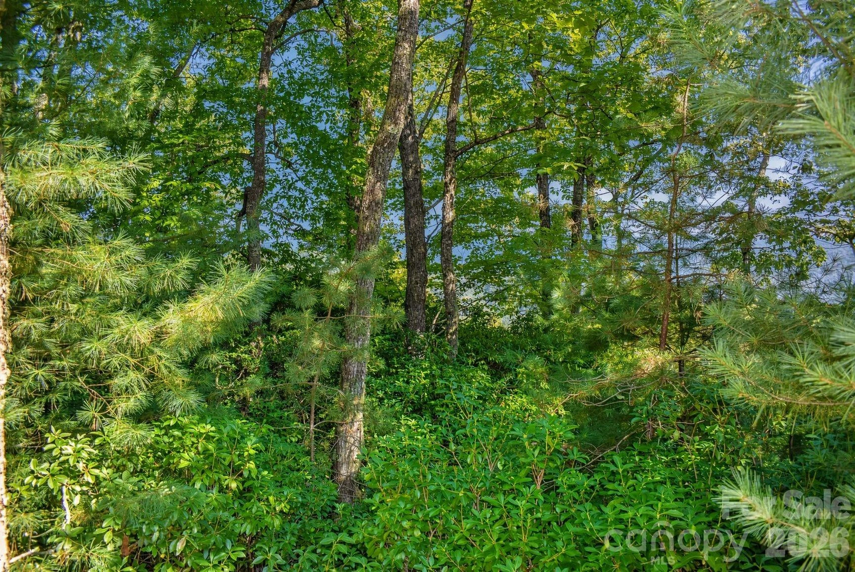 838 Mills River Way - Photo 8