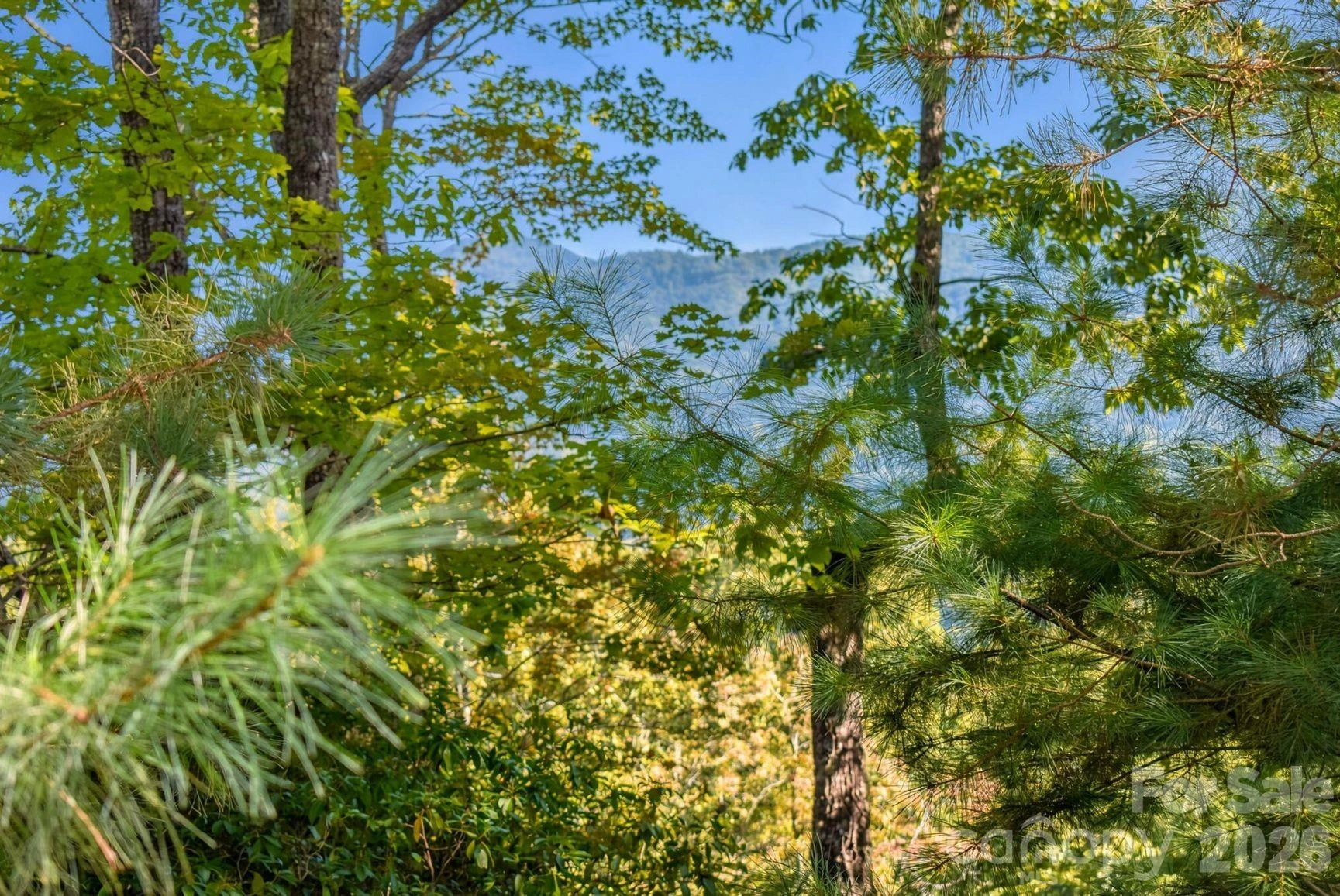 838 Mills River Way - Photo 9