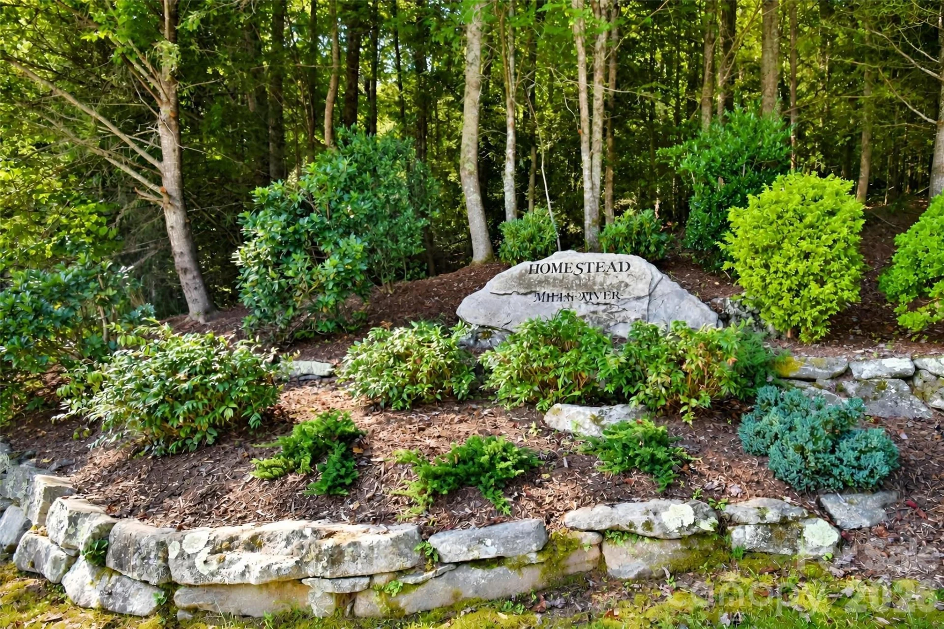 838 Mills River Way - Photo 10