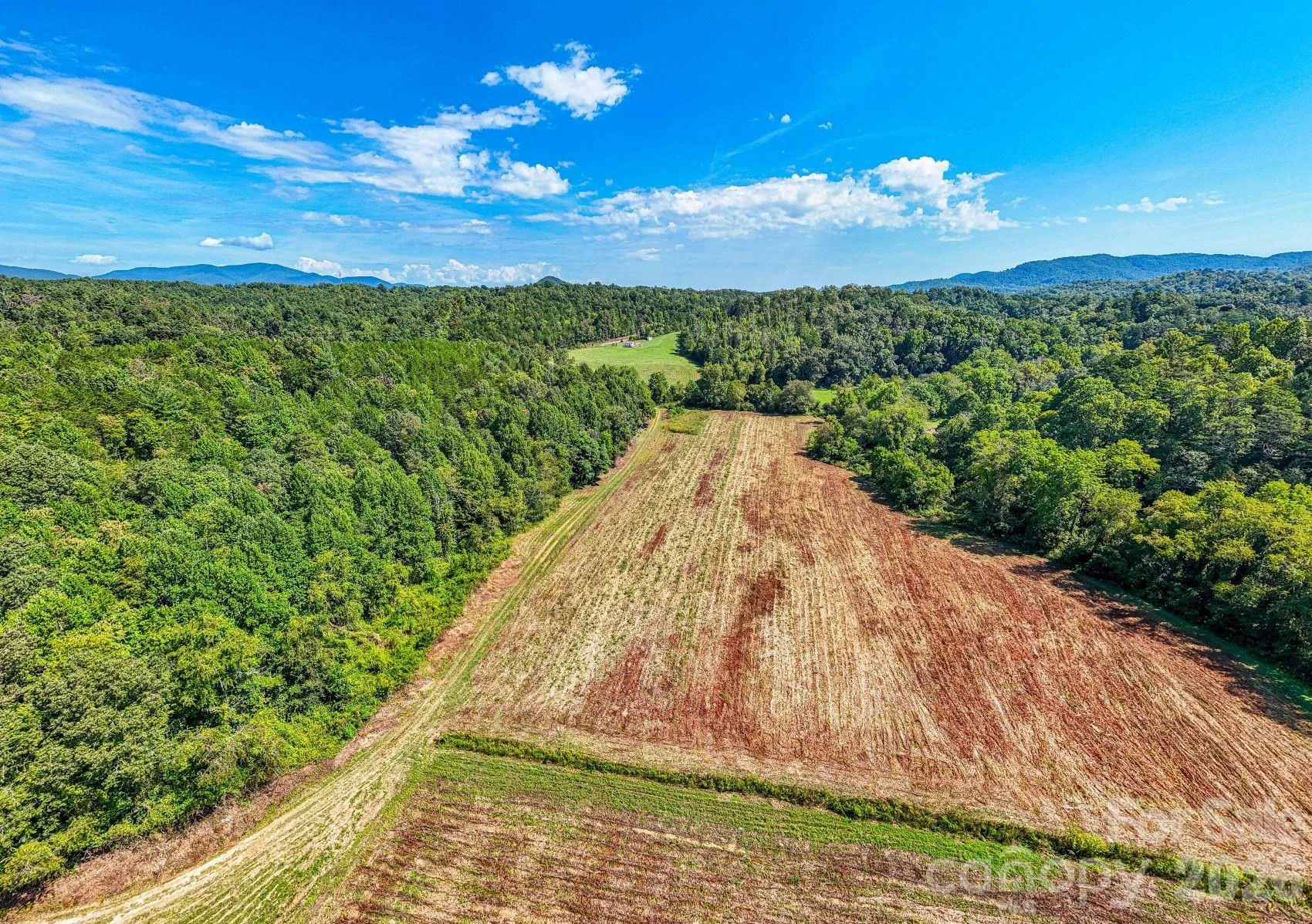 1891 Silvers Welch Road - Photo 4