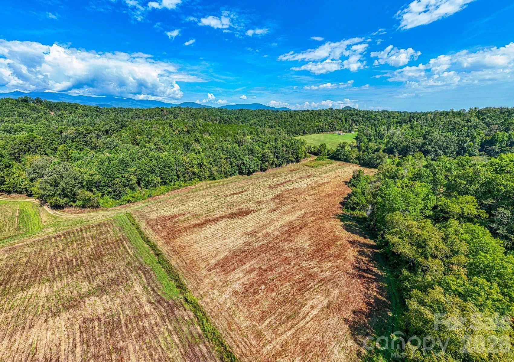 1891 Silvers Welch Road - Photo 5