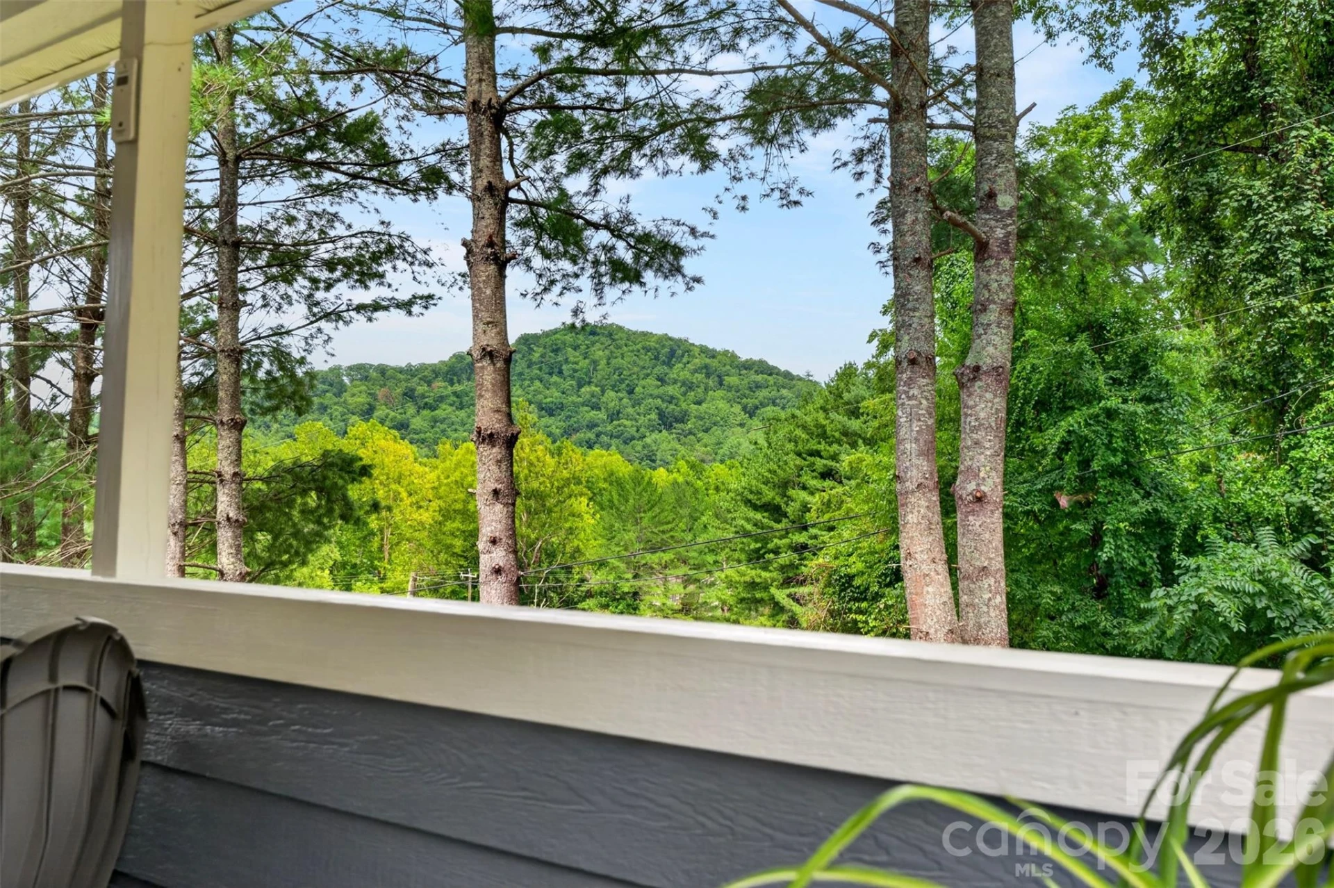 310 Magnolia Ridge Road - Photo 38