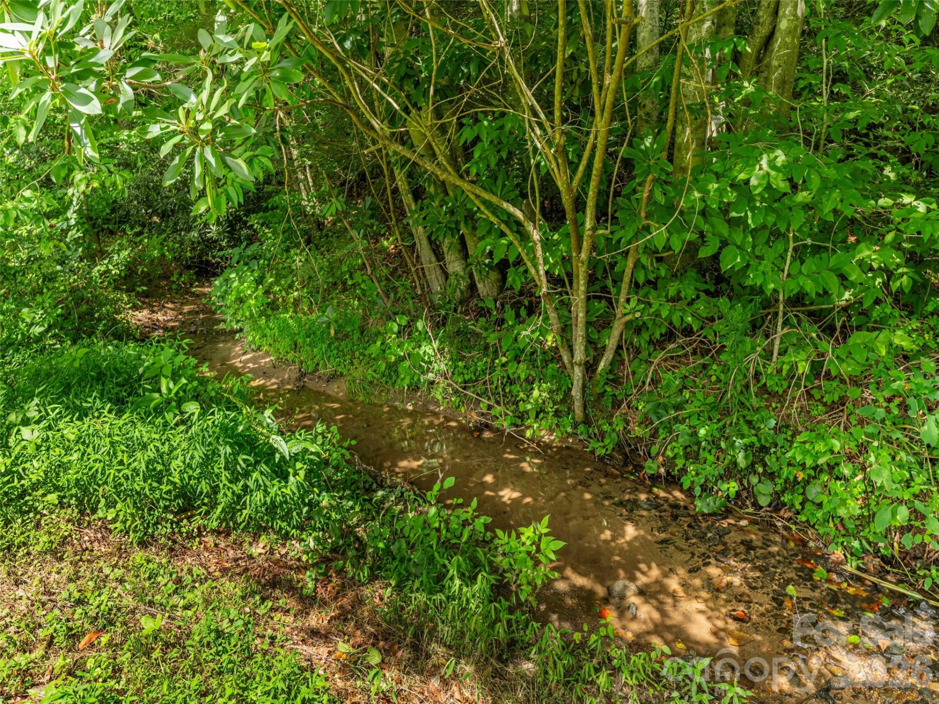 107 Tibi Lane - Photo 41