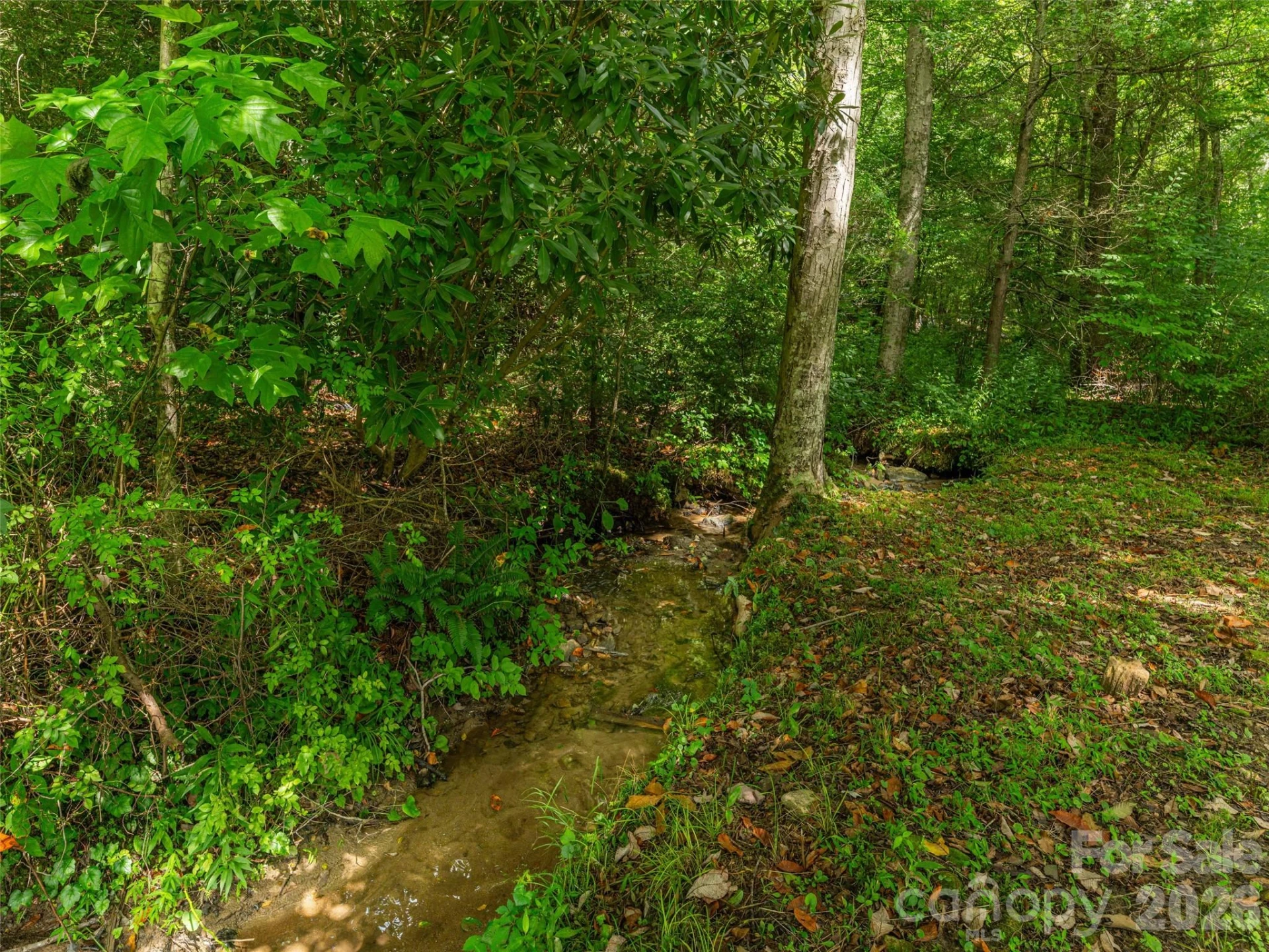 107 Tibi Lane - Photo 42