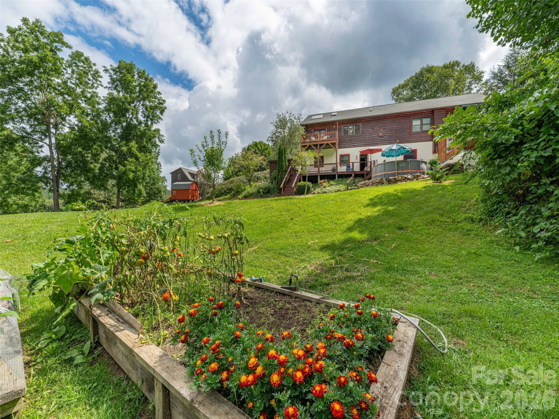 107 Tibi Lane - Photo 44