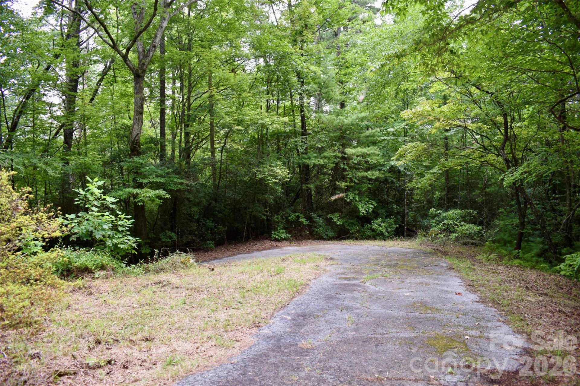 173 Mountain Haven Lane - Photo 35