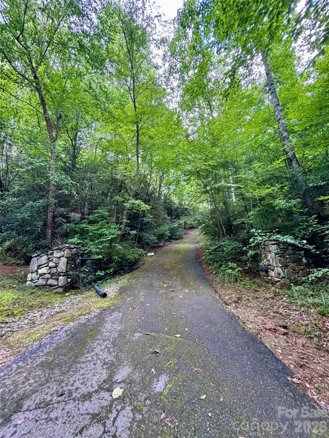 173 Mountain Haven Lane - Photo 36