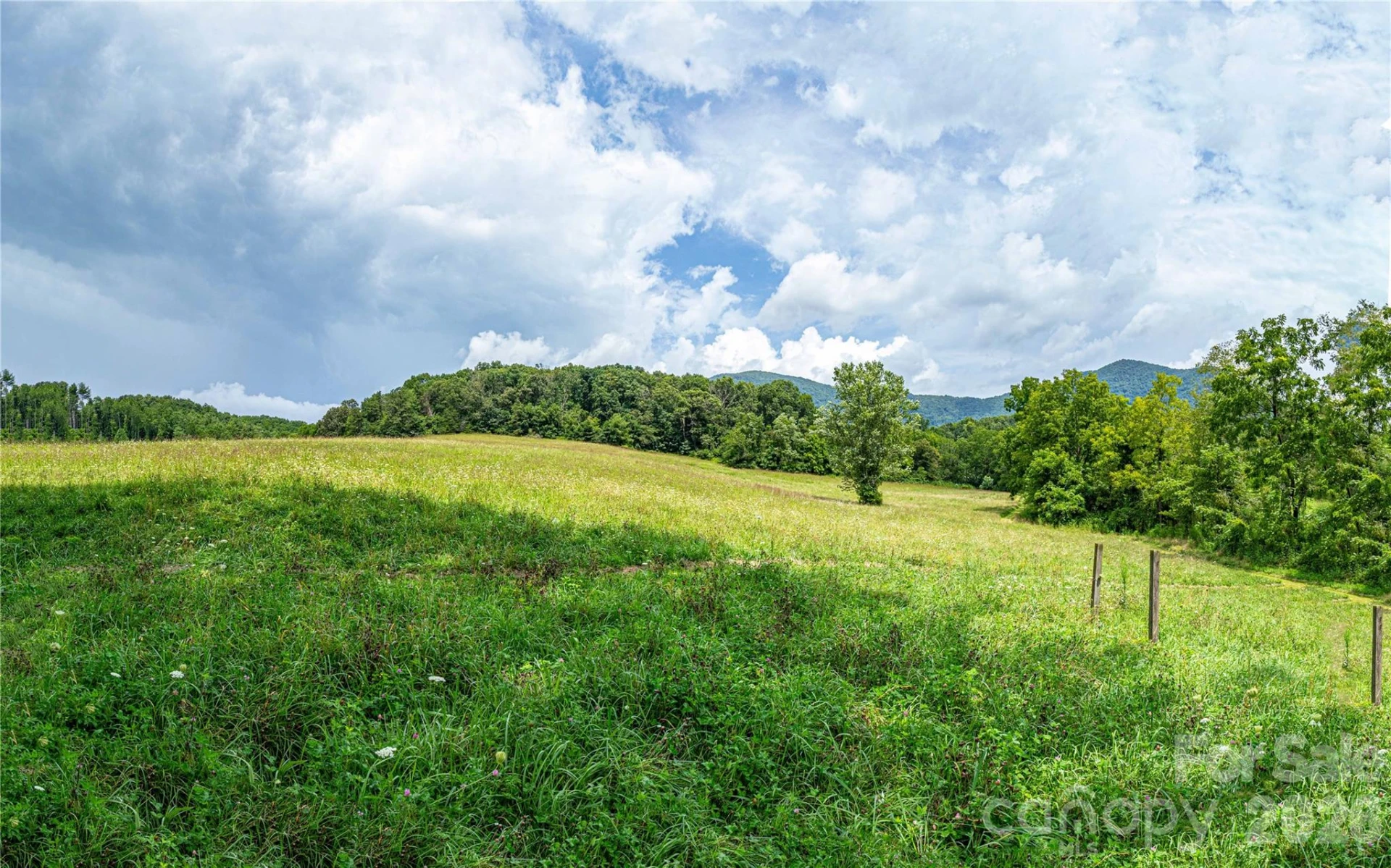 132 Hurd Road - Photo 4