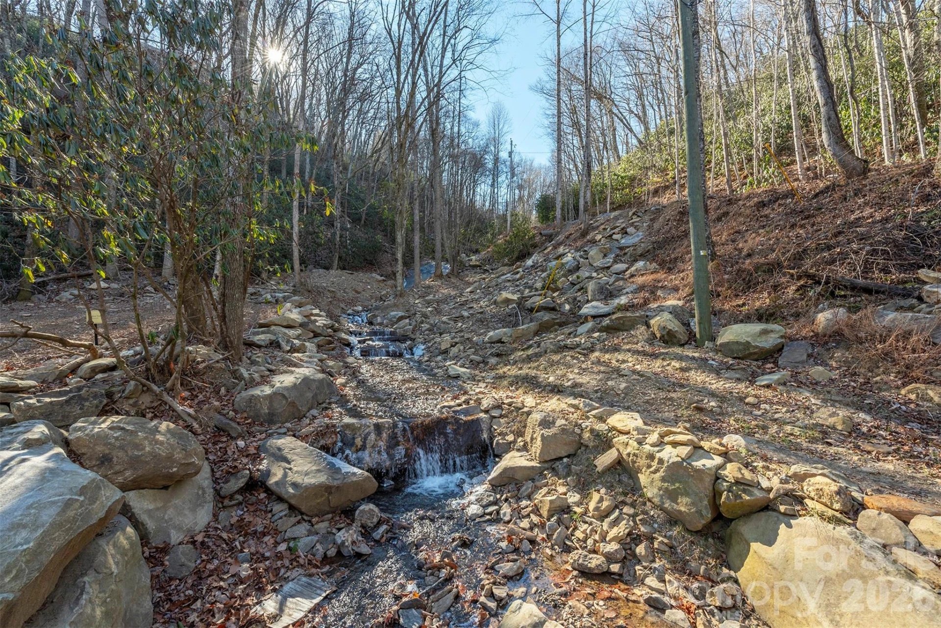 00 Wildflower Cove Road #18 - Photo 18