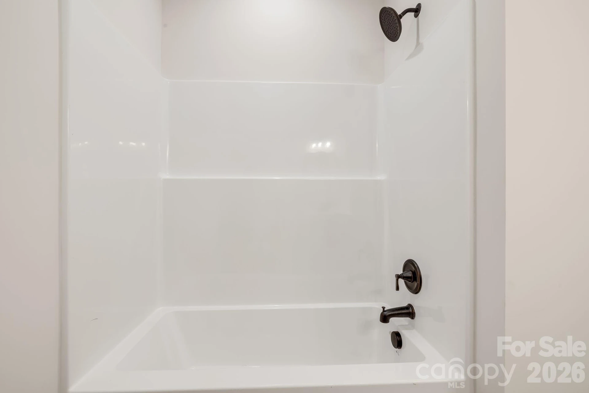 118 Dog Star Lane - Photo 11